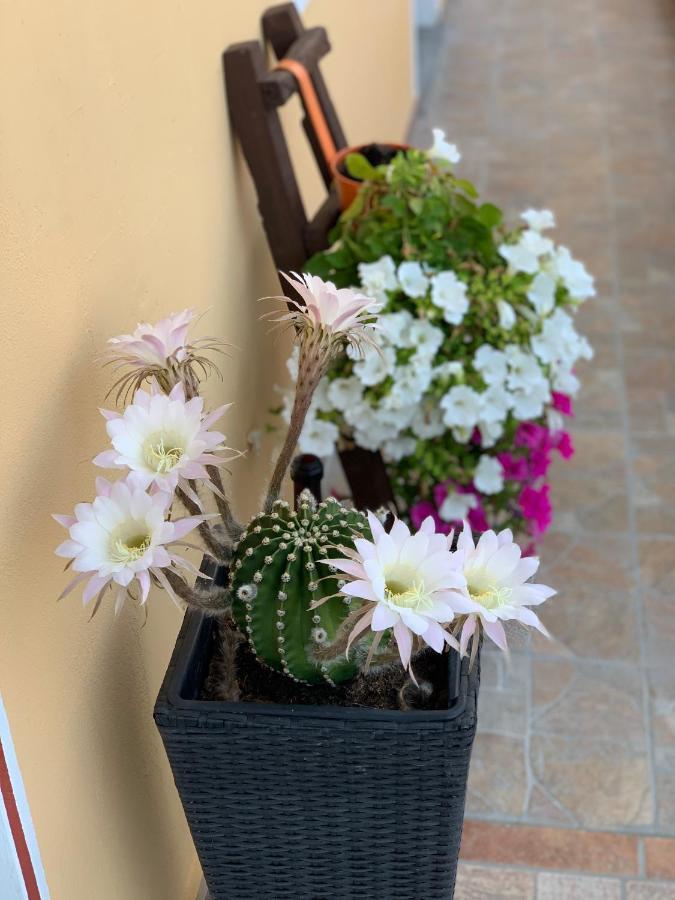 Bb Borgo Biella Panzió Candelo Kültér fotó